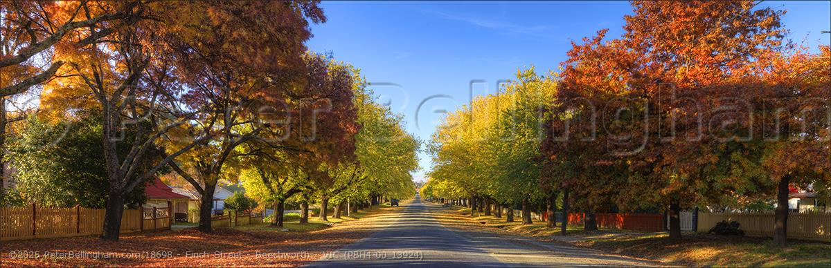 Peter Bellingham Photography Finch Street - Beechworth - VIC (PBH4 00 13924)